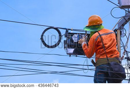 Rear View Of Technician On Wooden Ladder Checking Code Numbers Of Fiber Optic Cable Lines In Interne