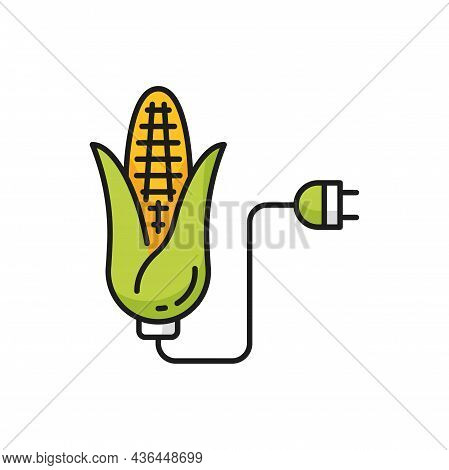 Corn Biofuel And Electric Plug Isolated Color Thin Line Icon. Vector Green Energy Vegetable Fossil, 