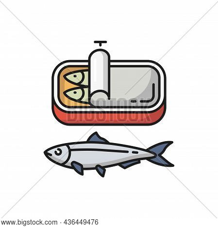 Sardines In Tin Can Isolated Fish, Portugal Food Flat Cartoon Icon. Vector Portuguese National Food,