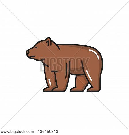 Wild Animal Isolated Swiss Brown Bear Side View, Flat Line Icon. Vector Ursus Predator, Wildlife Big