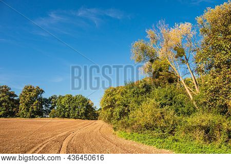 Landscape With Field And Trees Near Hohen Demzin, Germany.