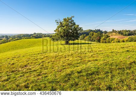 Landscape With Paddock And Trees Near Hohen Demzin, Germany.