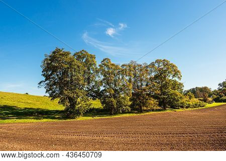 Landscape With Field And Trees Near Hohen Demzin, Germany.
