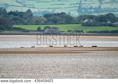 The Great Seal Bank In Sligo - Ireland