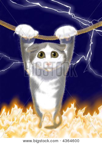Cat über dem Feuer
