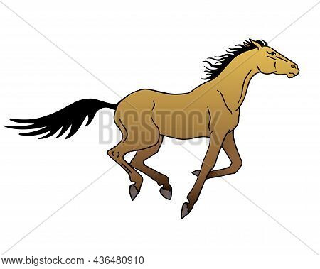 Horse. A Galloping Akhal-teke Horse Of A Dun Suit - Vector Full Color Illustration.