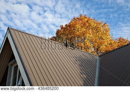 Brown Metalic Roof House Under The Autmn Tree Against Blue Sky