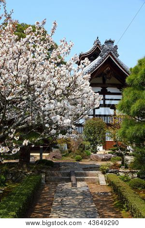 Arashiyama - Tenryuji Temple