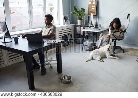 Wide Angle View At African-american Woman Petting Dog While Working In Pet Friendly Office, Copy Spa