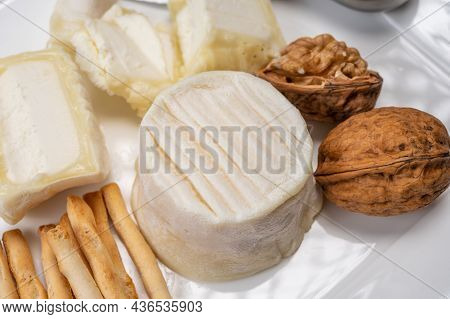 Cheese Collection, Soft Goat French Cheese With Mold Crottin De Chavignol Produced In Loire Valley