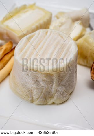 Cheese Collection, Soft Goat French Cheese With Mold Crottin De Chavignol Produced In Loire Valley