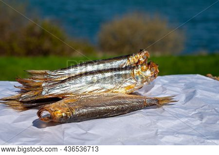 Smoked Sprattus Or Sprats Sea Fish Served Outdoor With View On Blue Sea Water