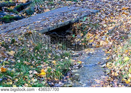 Footbridge Over Small Stream In Autumn Forest