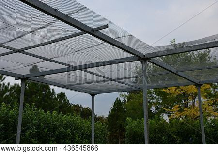 In Ornamental Plant Nurseries, It Is Necessary To Protect Some Ferns And Delicate Species From The S