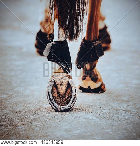 A Rear View Of A Sorrel Horse With A Dark Tail Walking Along A Dusty Road, Stepping On It With Shod 