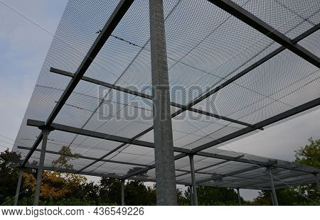 In Ornamental Plant Nurseries, It Is Necessary To Protect Some Ferns And Delicate Species From The S