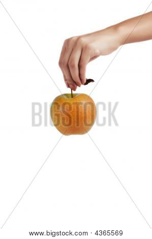 Apple v ruce