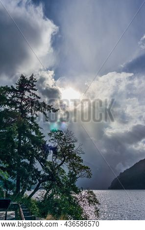 A Silhouette Of A Tree On Shore At Lake Crescent In Wasington State