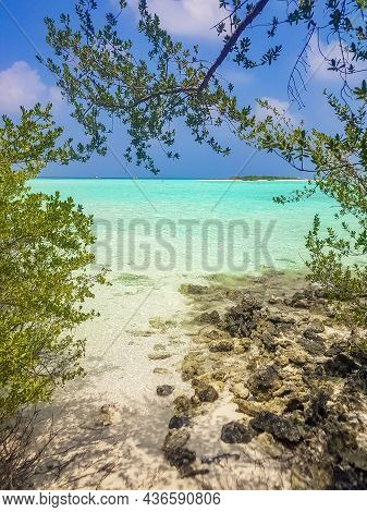 Natural Tropical Turquoise Sandbank Islands Madivaru Finolhu Rasdhoo Atoll Maldives.