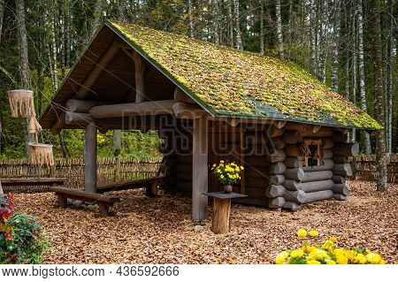Little Mystic Wooden Log House In The Autumn Forest, Tervete, Latvia