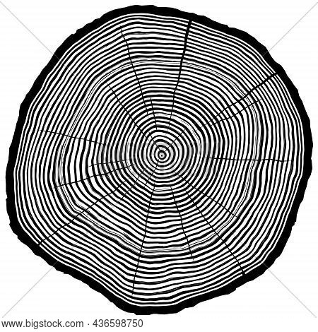 Vector Silhouette Of Sawcut Tree Trunk With Rings