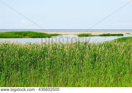 Nature Reserve Randu Meadows Are Located On The Eastern Shore Of The Gulf Of Riga In The Baltic Sea