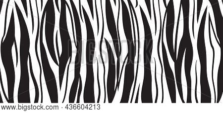 Tiger Skin Vector Seamless Pattern, Black And White Sebra Print, Stripe Background. Abstract Illustr