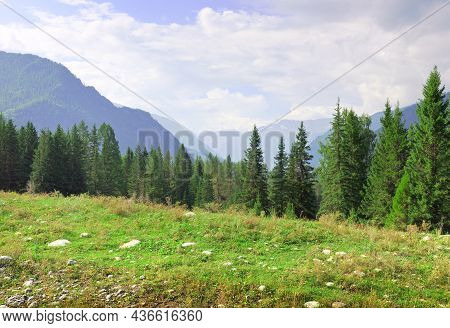 A Green Glade Against The Background Of Fir Trees And Mountains In A Haze Under A Blue Cloudy Sky. S