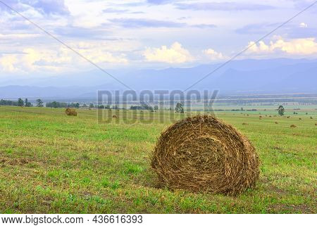 A Rural Field In Summer Under A Blue Sky In The Altai Mountains. Siberia, Russia