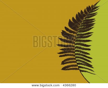 Felce Floral Background