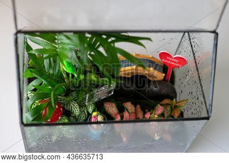 Small Decoration Plants In A Glass Garden Terrarium Forest. Terrarium House With Piece Of Forest Wit