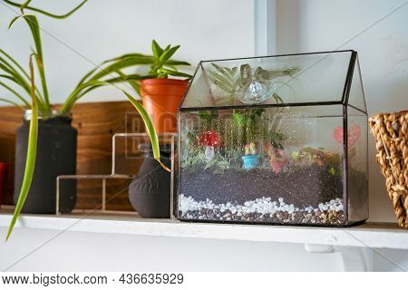 Small Decoration Plants In A Glass Garden Terrarium Forest. Terrarium House With Piece Of Forest Wit