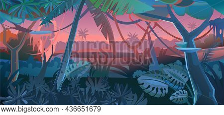 Jungle Tree. Morning Sunrise Dawn Or Evening Sunset. Dense Thickets. View From Tropical Forest Panor