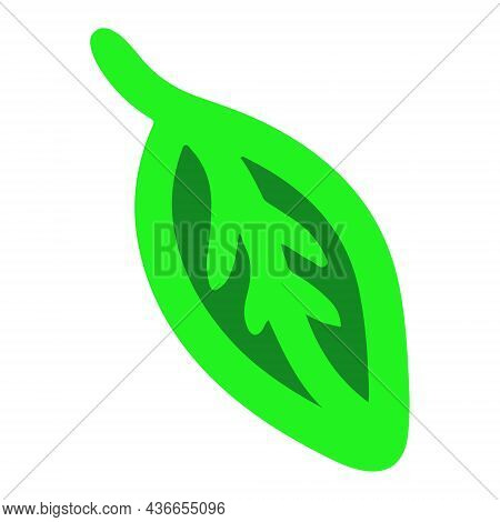 A Small Leaf In Color On A White Background