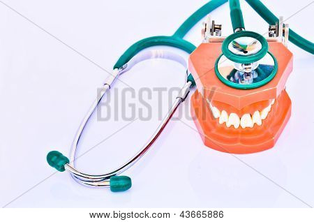 Dental Checkup