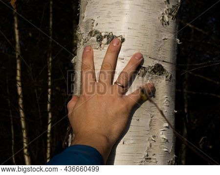 A Man Hugs A Tree With Love, Receives Energy From A Tree