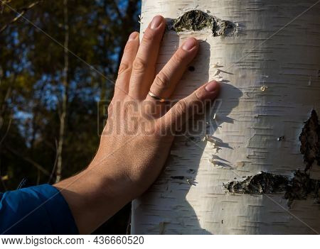 A Man Hugs A Tree With Love, Receives Energy From A Tree