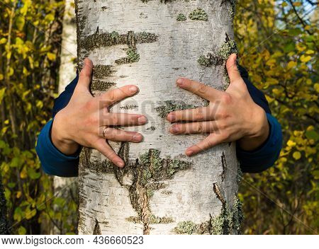 A Man Hugs A Tree With Love, Receives Energy From A Tree