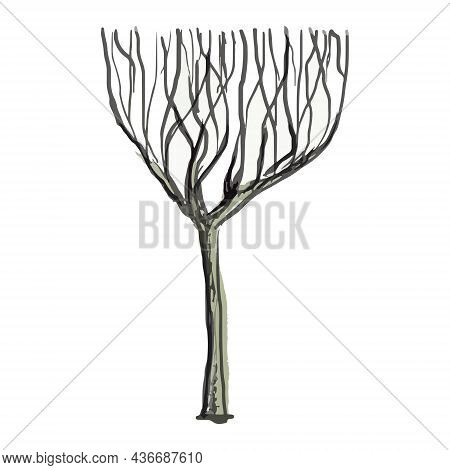 A Tree Of Unusual Shape On A White Background.
