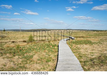 Les Haute Fagnes, Part Of The Belgium Ardennes With Burning Trees.