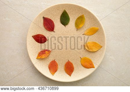 Autumn Leaves Laid Out From Green To Red On A Travertine Background. The Concept Of Changing The Sea