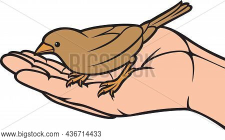 Bird In Hand Color Vector Illustration (icon)