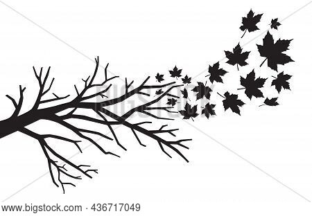 Branch With Falling Leaves Black Vector Illustration
