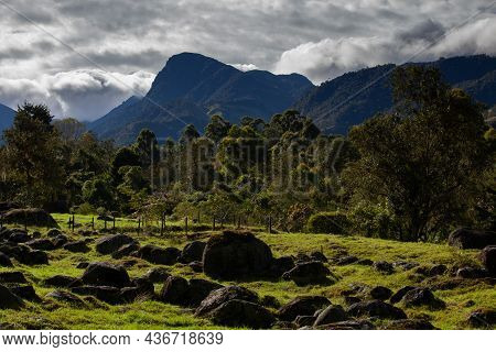 Beautiful Landscape At The Cocora Valley With The Famous Morrogacho Hill On The Background