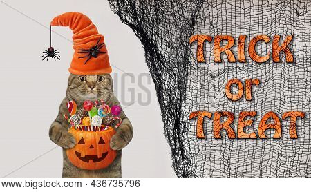 A Beige Cat In A Hat With Spiders Holds A Pumpkin Bucket With Sweets For Halloween. White Background
