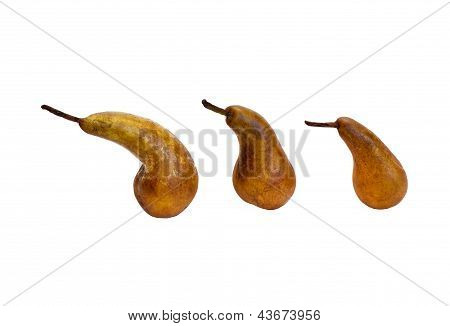 Peren