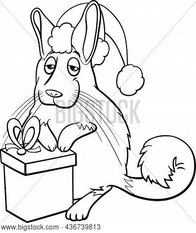 Black And White Cartoon Illustration Of Viscacha Animal Character With Present On Christmas Time Col