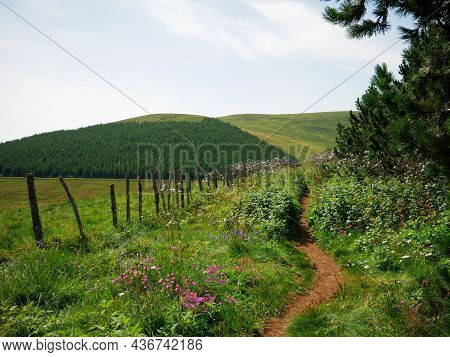 Nice Picture Of A Hiking Trail Near The Lake Of Servieres In Central France
