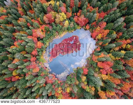 Autumn Lake In The Carpathians Photographed From A Bird's Eye View. Golden Autumn In The Ukrainian C