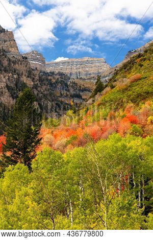Red and green color trees during autumn time in American Fork canyon at Mt Timpanogos, Utah  
